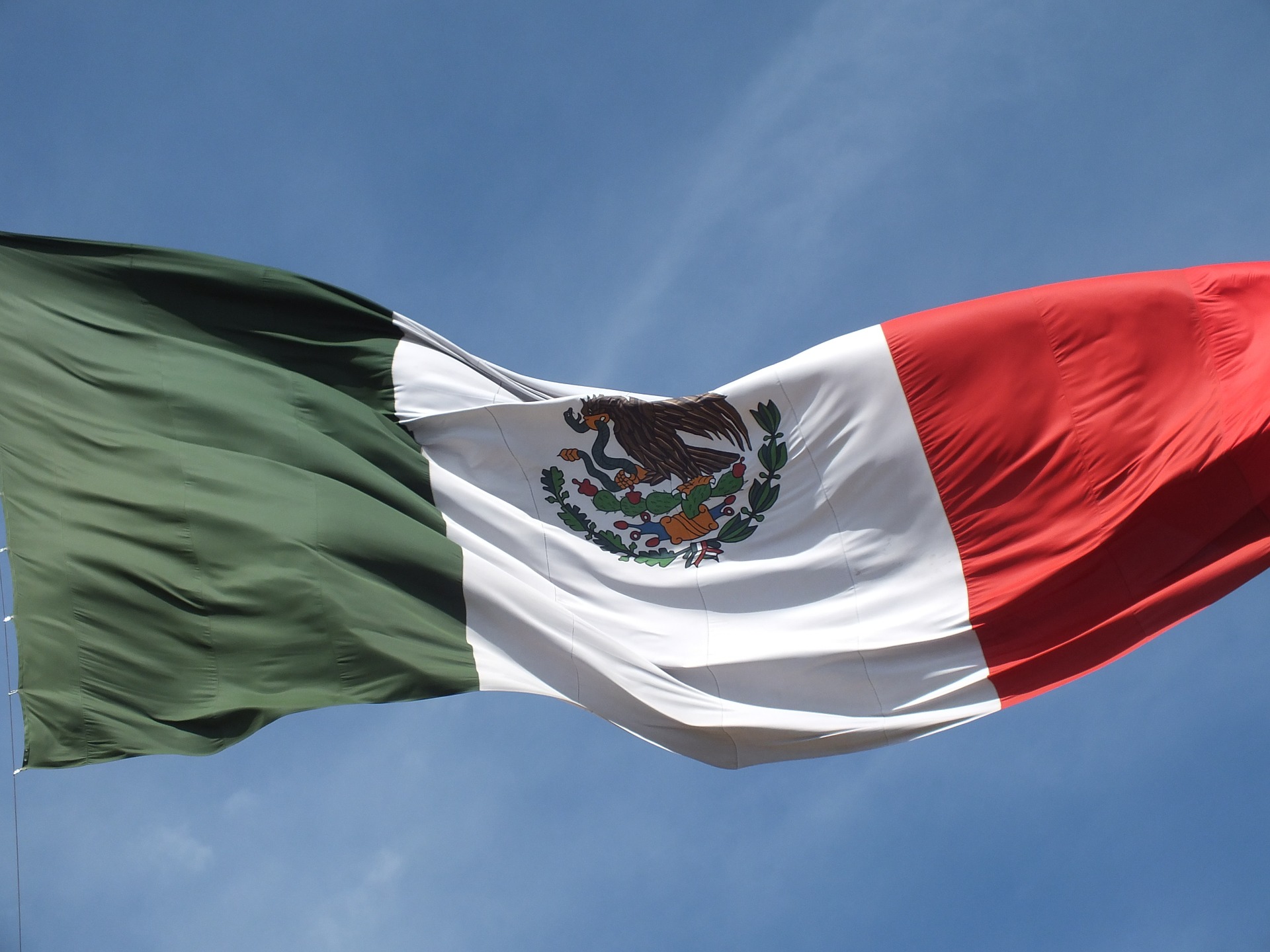 Mexican Flag