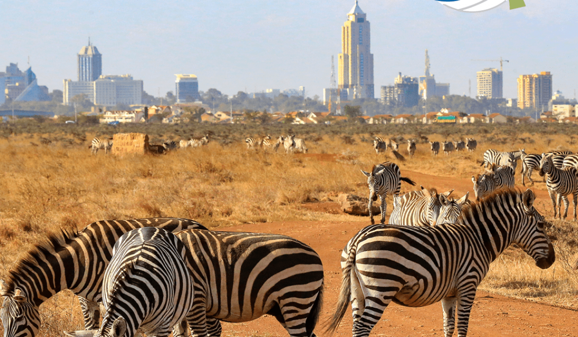 What You Need to Know Before You Go: Kenya